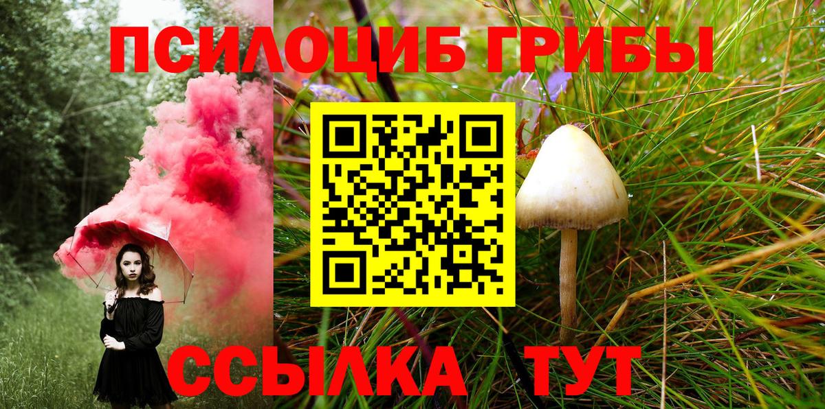 Галлюциногенные грибы ЛСД Ахтубинск