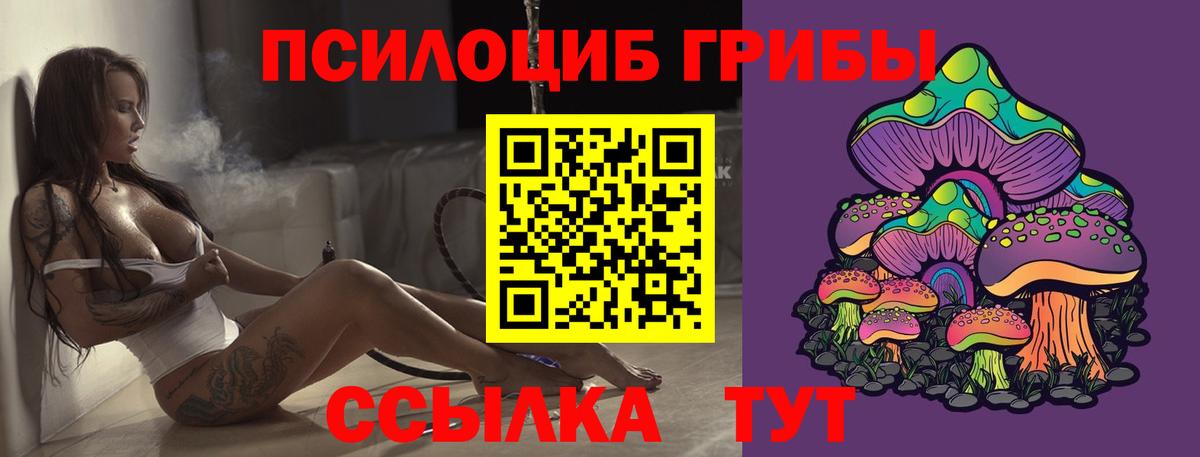 Псилоцибиновые грибы Cubensis  Вход с VPN  Ахтубинск 